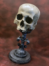 Carved Artisan Skull Stand - Flourish