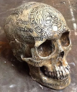 Memento Mori Knight Templar Carved Replica Skull