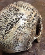 Memento Mori Knight Templar Carved Replica Skull