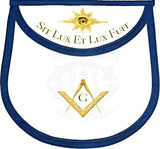 "And There Was Light" Master Mason Apron with G
